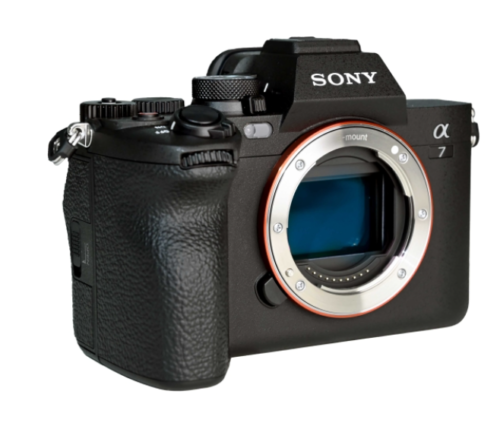 SONY A7 IV + FE 200-600mm f/5.6–6.3 G OSS