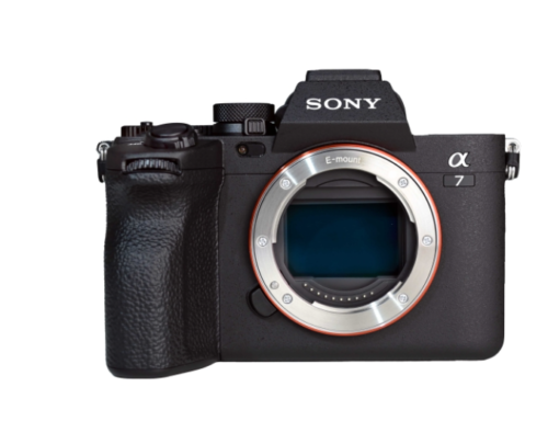 SONY A7 IV + FE 85mm F1.8 SEL85F18