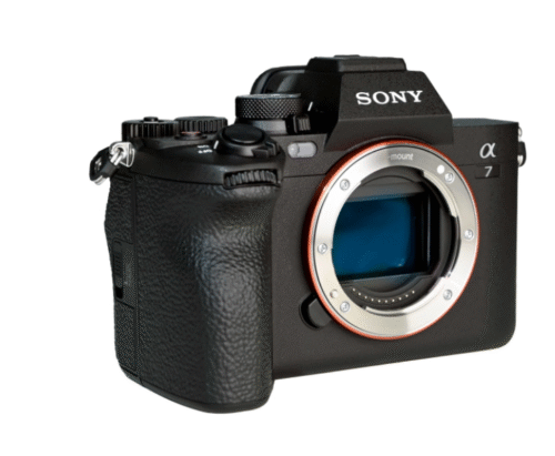 SONY A7 IV + Sony FE 50mm F1.8 | SEL50F18F