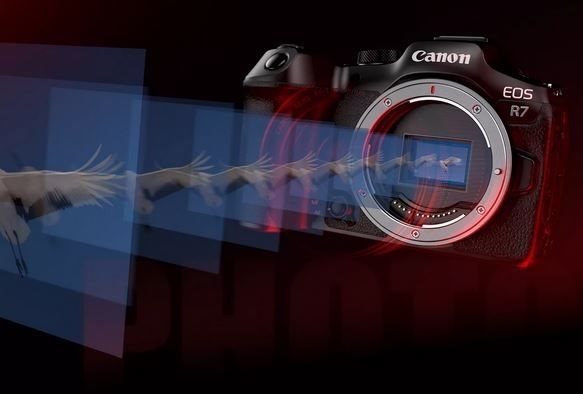 Życie na najwyższym biegu